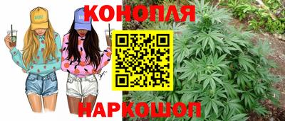 тгк Волжск
