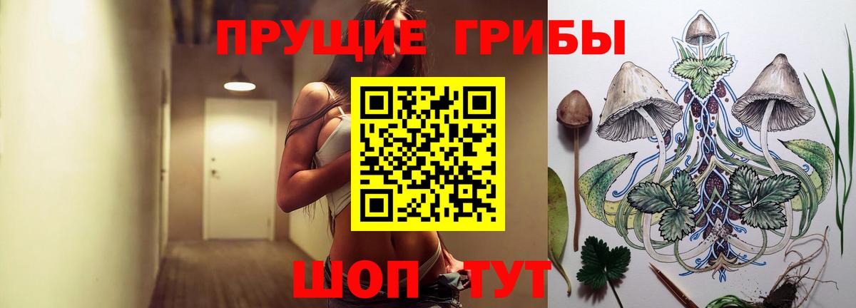 Северск  Галлюциногенные грибы Magic Shrooms  Вход с VPN  Псилоцибиновые грибы MAGIC MUSHROOMS 