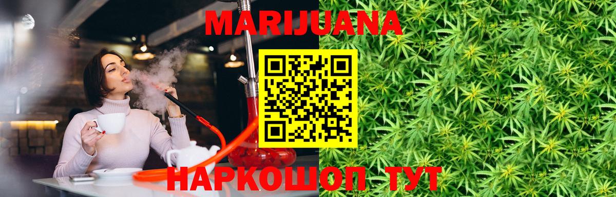 Конопля OG Kush Северск